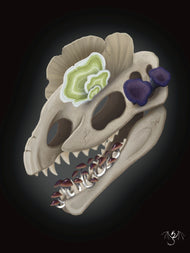 Fungal Dilophosaurus Skull - Art Print