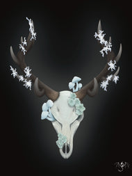 Fungal Elk Skull - Art Print