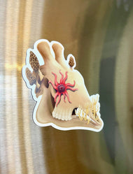 Fungal Giraffe Skull - Magnet