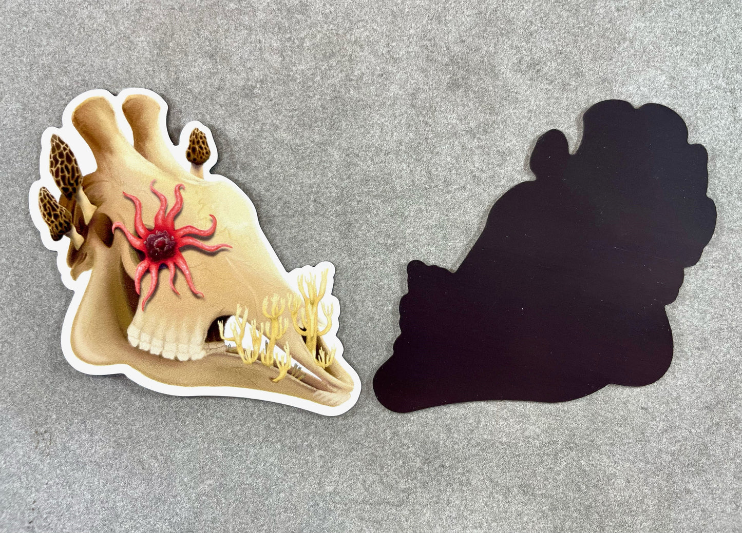Fungal Giraffe Skull - Magnet