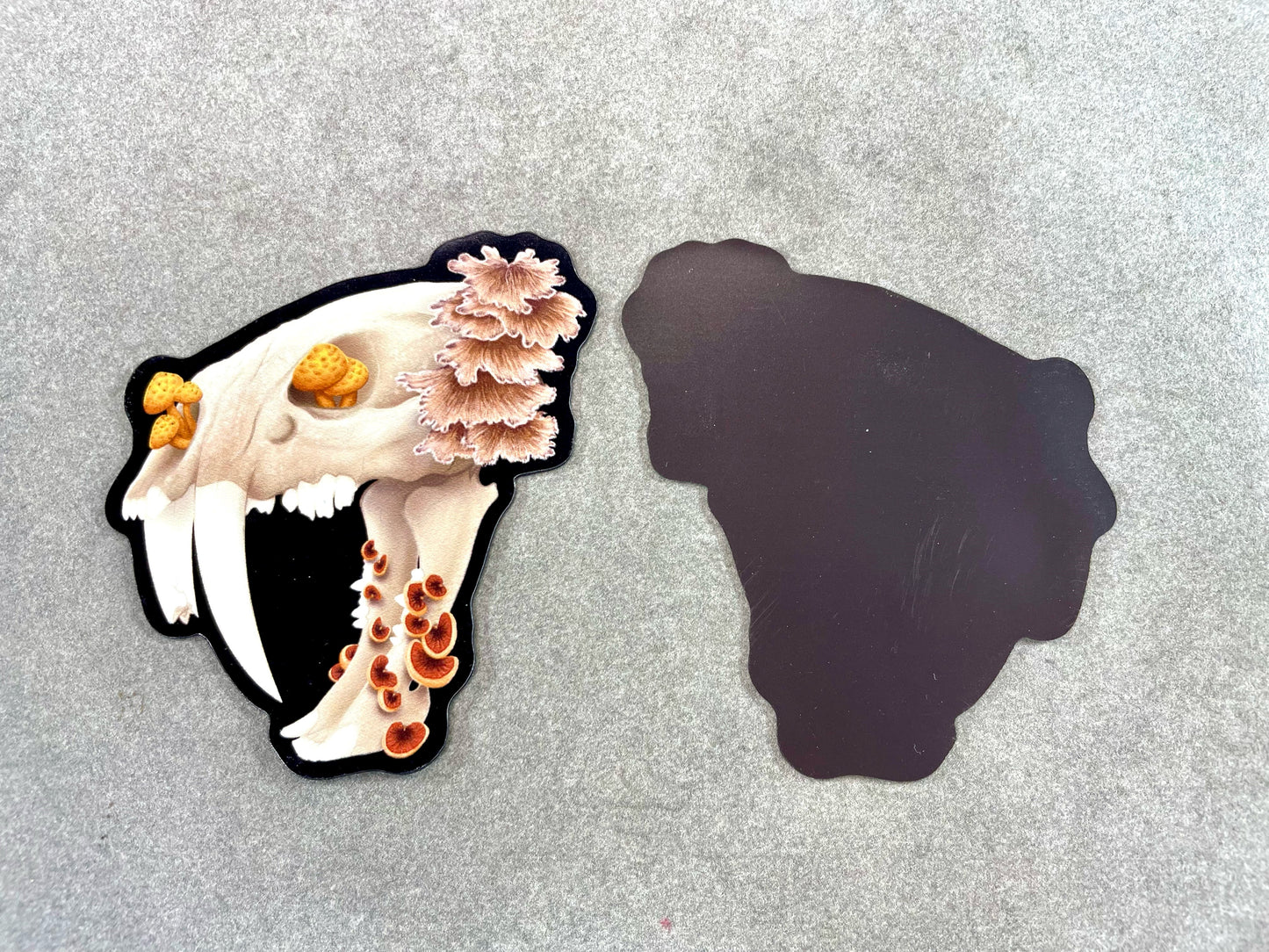 Fungal Sabertooth Skull - Magnet