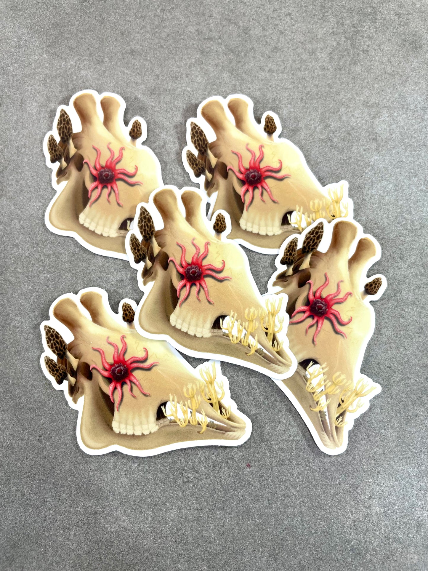 Fungal Giraffe Skull - Matte Sticker