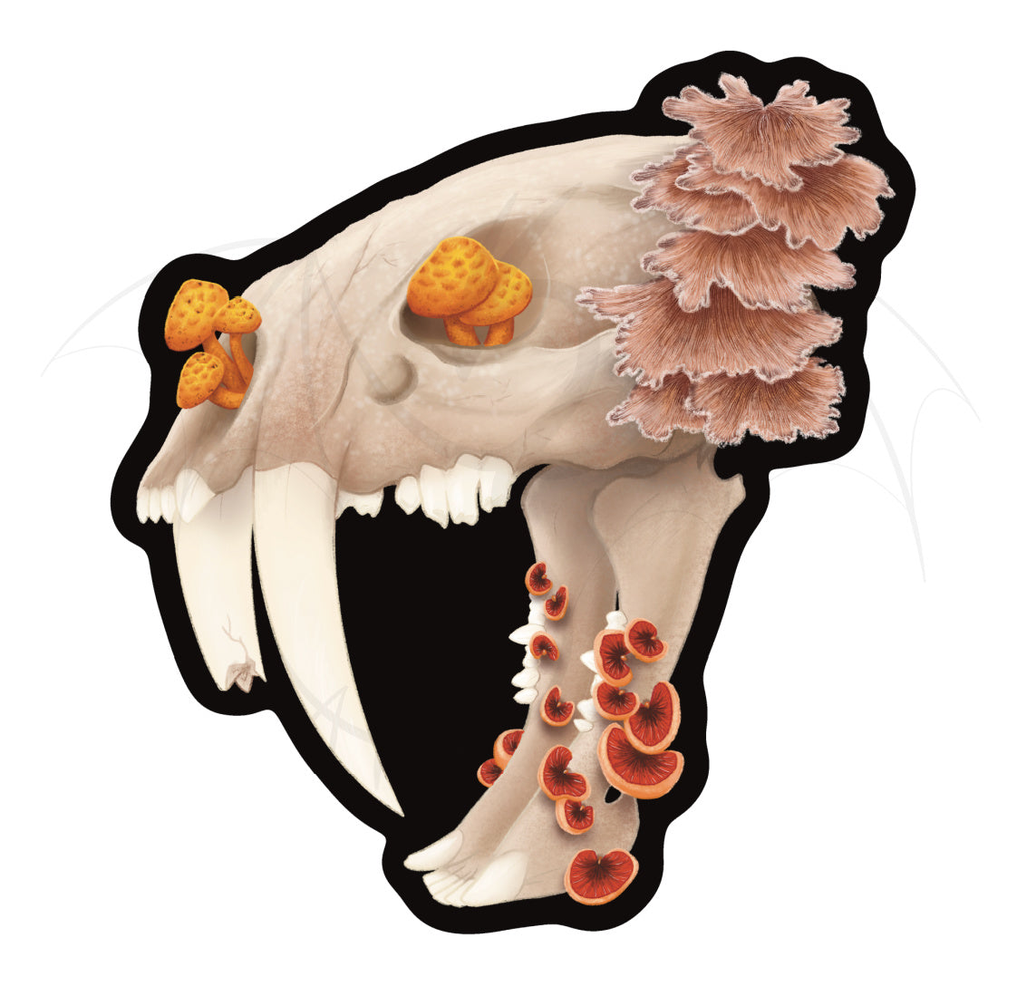 Fungal Sabertooth Skull - Matte Sticker