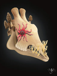 Fungal Giraffe Skull - Art Print