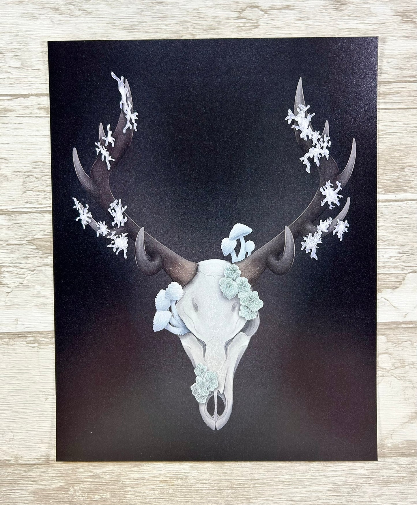 Fungal Elk Skull - Art Print