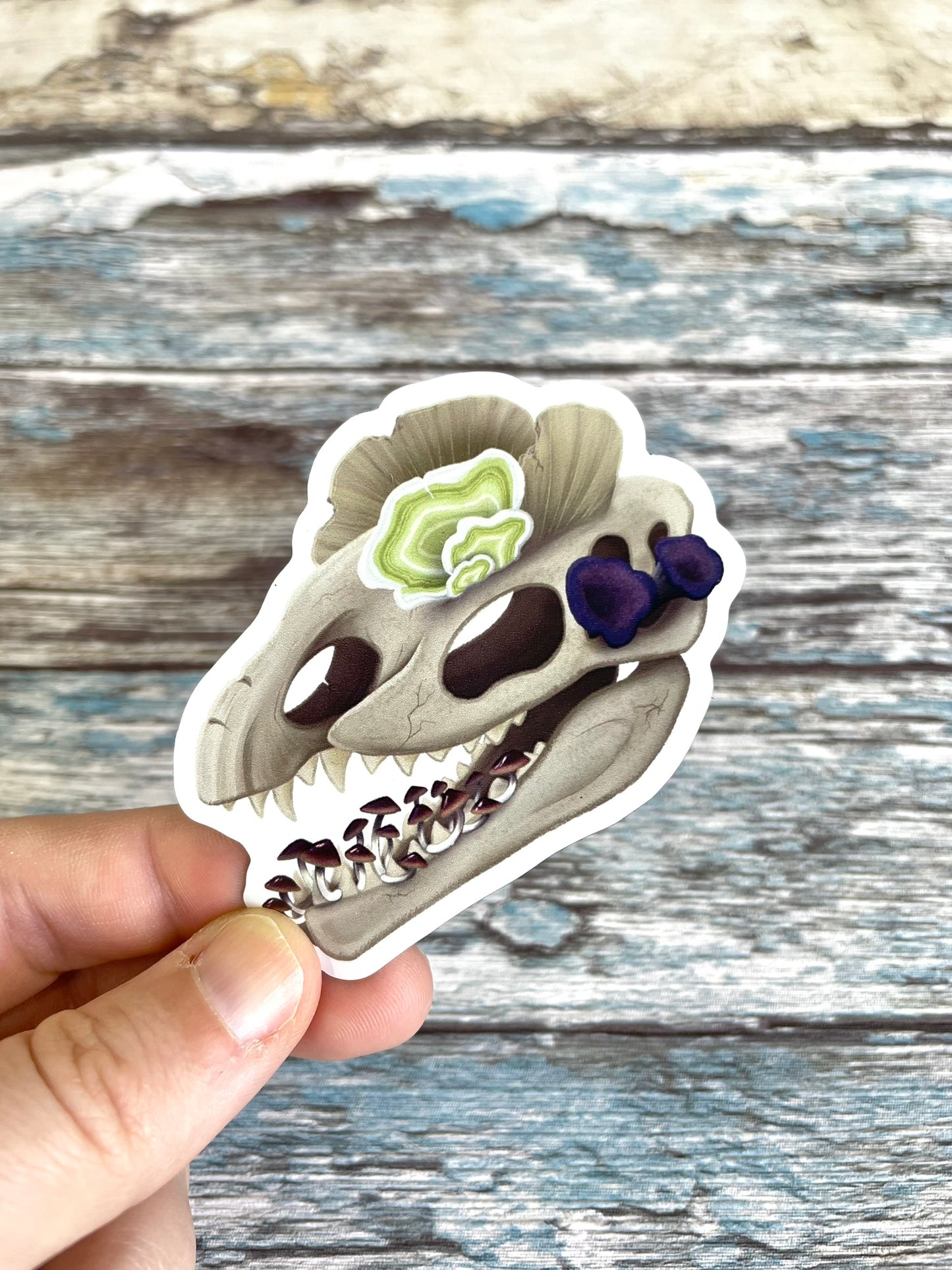 Fungal Dilophosaurus Skull - Magnet