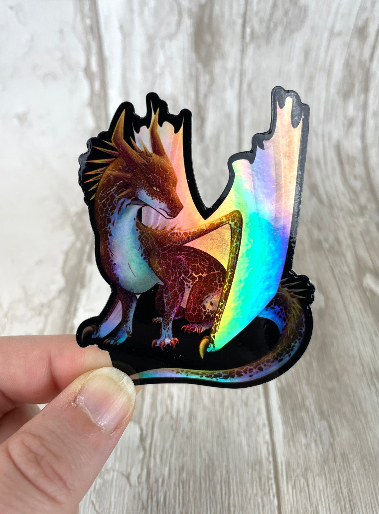 A die cut, holographic, vinyl sticker with a black background featuring a sitting, side profile of a dragon that has the features of a boulder opal with hues of blue, green, purple, and pink on the underbelly and cracks of the rough, brown hue, rock scales. The wings are tucked back and are of an iridescent shimmery hue.