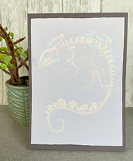 Fungal Chameleon Skeleton - 5x 7 Notepads