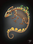 Fungal Chameleon Skeleton