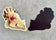 Fungal Giraffe Skull - Magnet