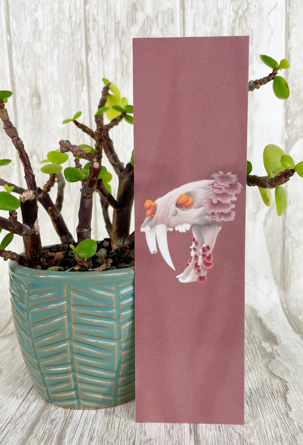 Fungal Sabertooth Skull - Bookmarks