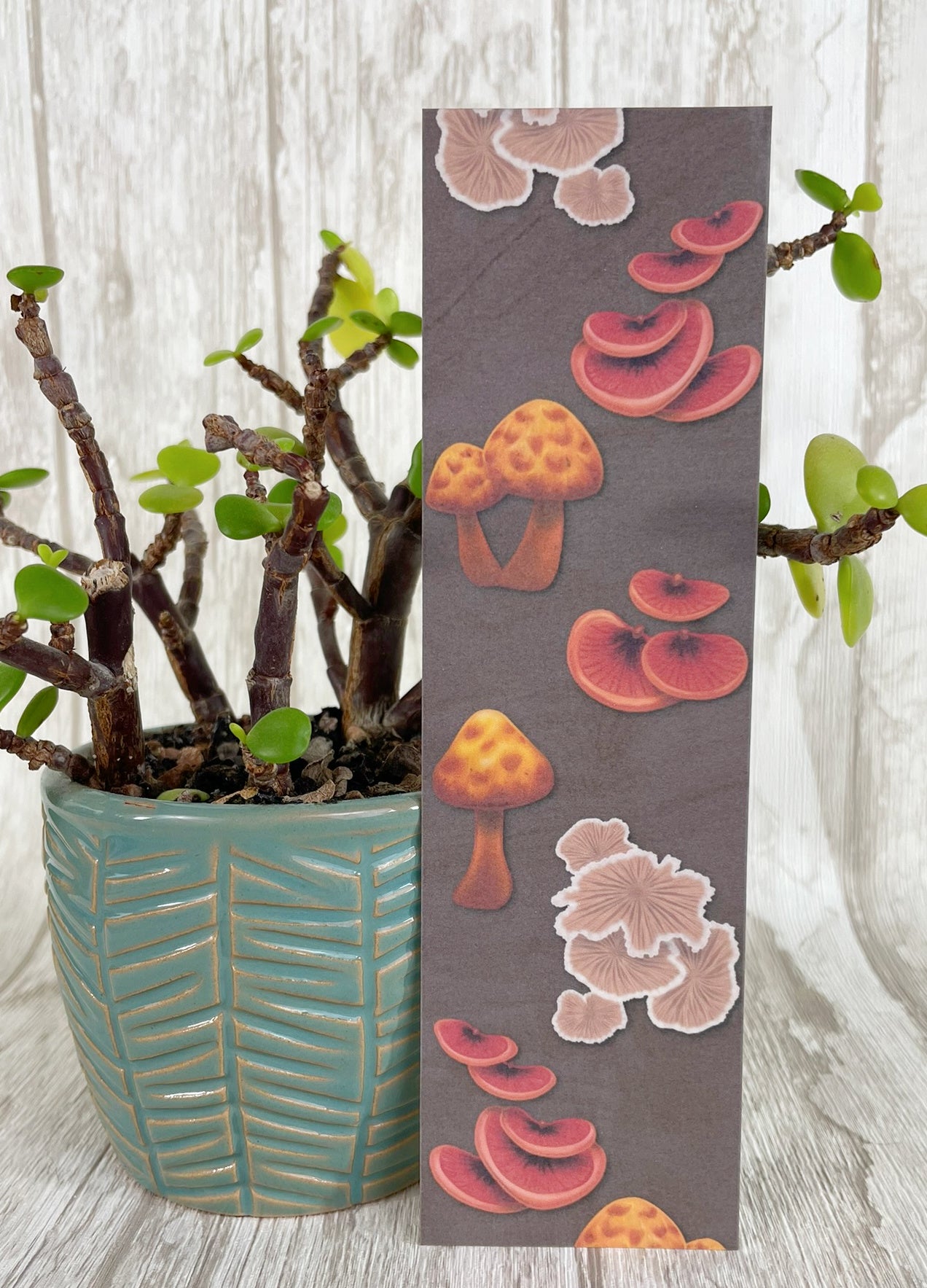 Fungal Sabertooth Skull - Bookmarks