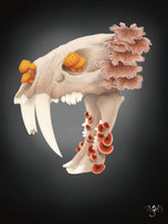 Fungal Sabertooth Skull - Art Print
