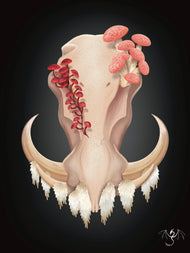 Fungal Warthog Skull - Art Print