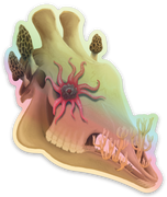 Fungal Giraffe Skull - Holographic Sticker