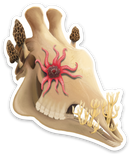 Fungal Giraffe Skull - Matte Sticker