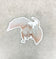 Scolecite Mineral Dragon - Holographic Sticker