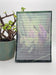 Atlantisite Mineral Dragon - 5x7 Notepads