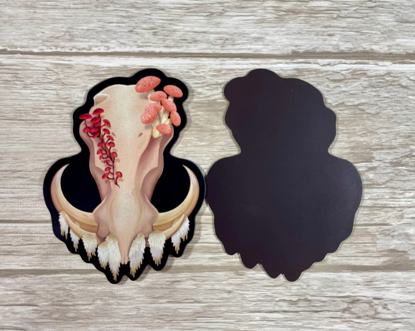 A 3 inch tall magnet for the refrigerator featuring a front facing warthog skull with 3 different kinds of fungi growing out of it