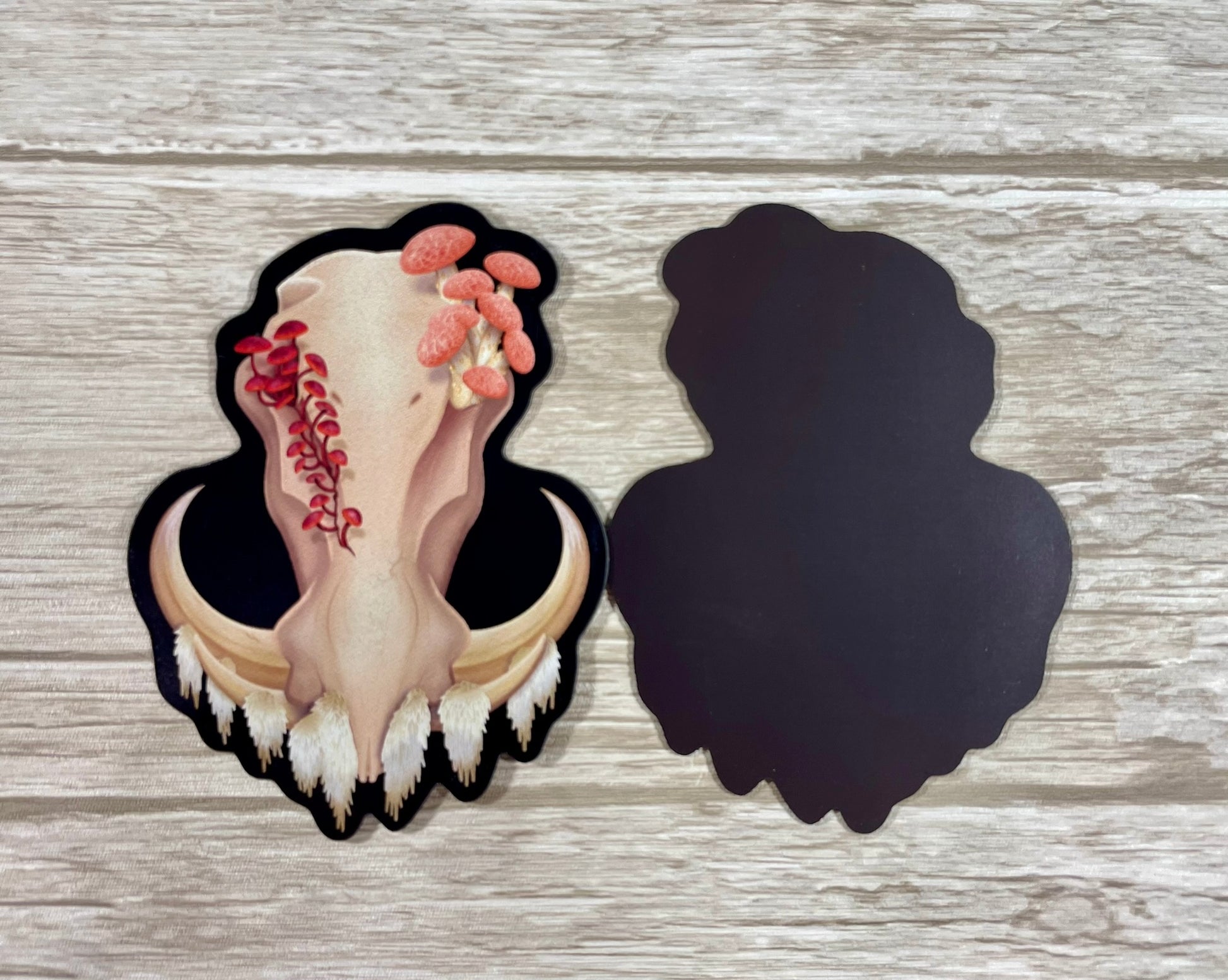 A 3 inch tall magnet for the refrigerator featuring a front facing warthog skull with 3 different kinds of fungi growing out of it