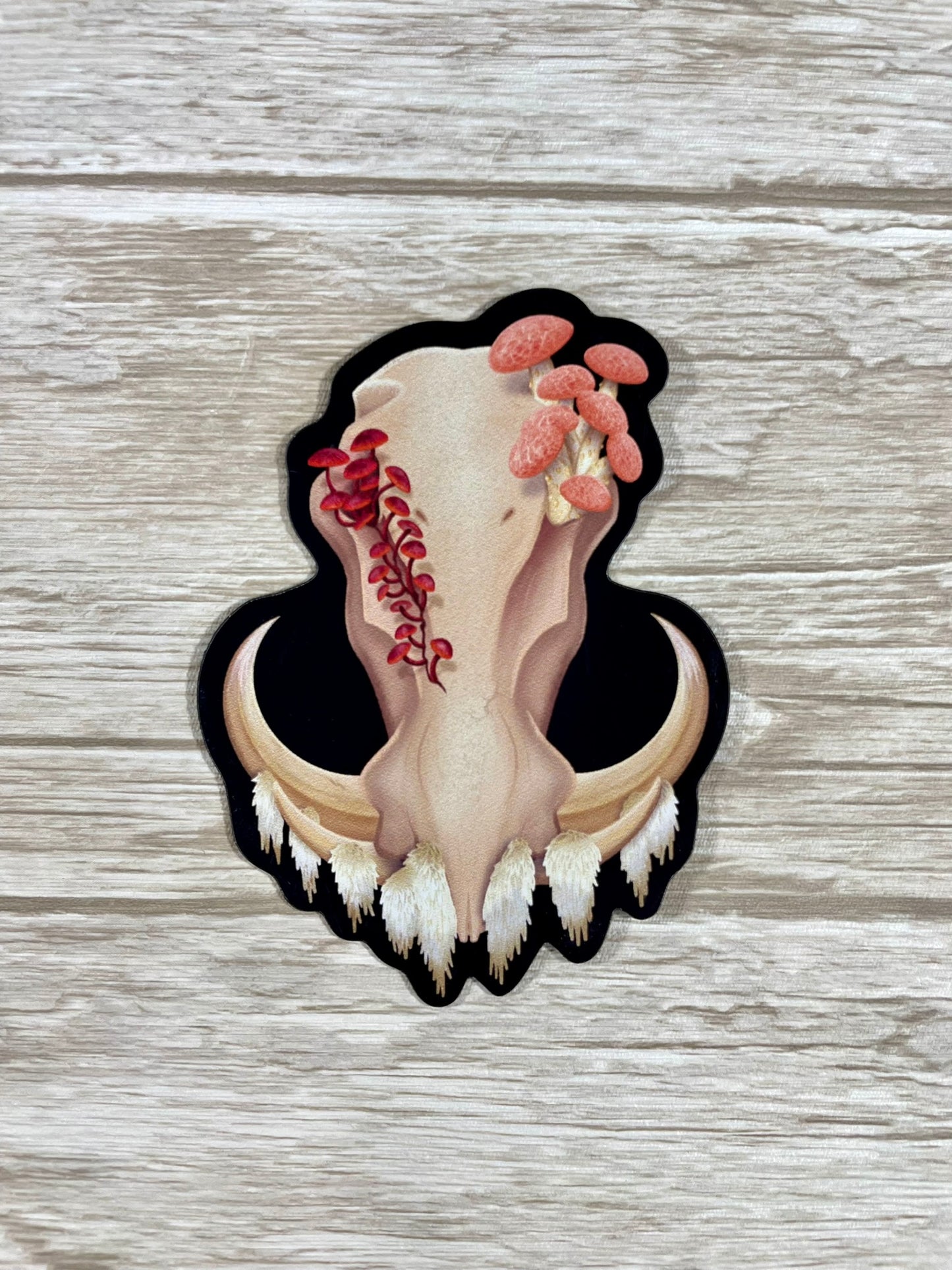 A 3 inch tall magnet for the refrigerator featuring a front facing warthog skull with 3 different kinds of fungi growing out of it