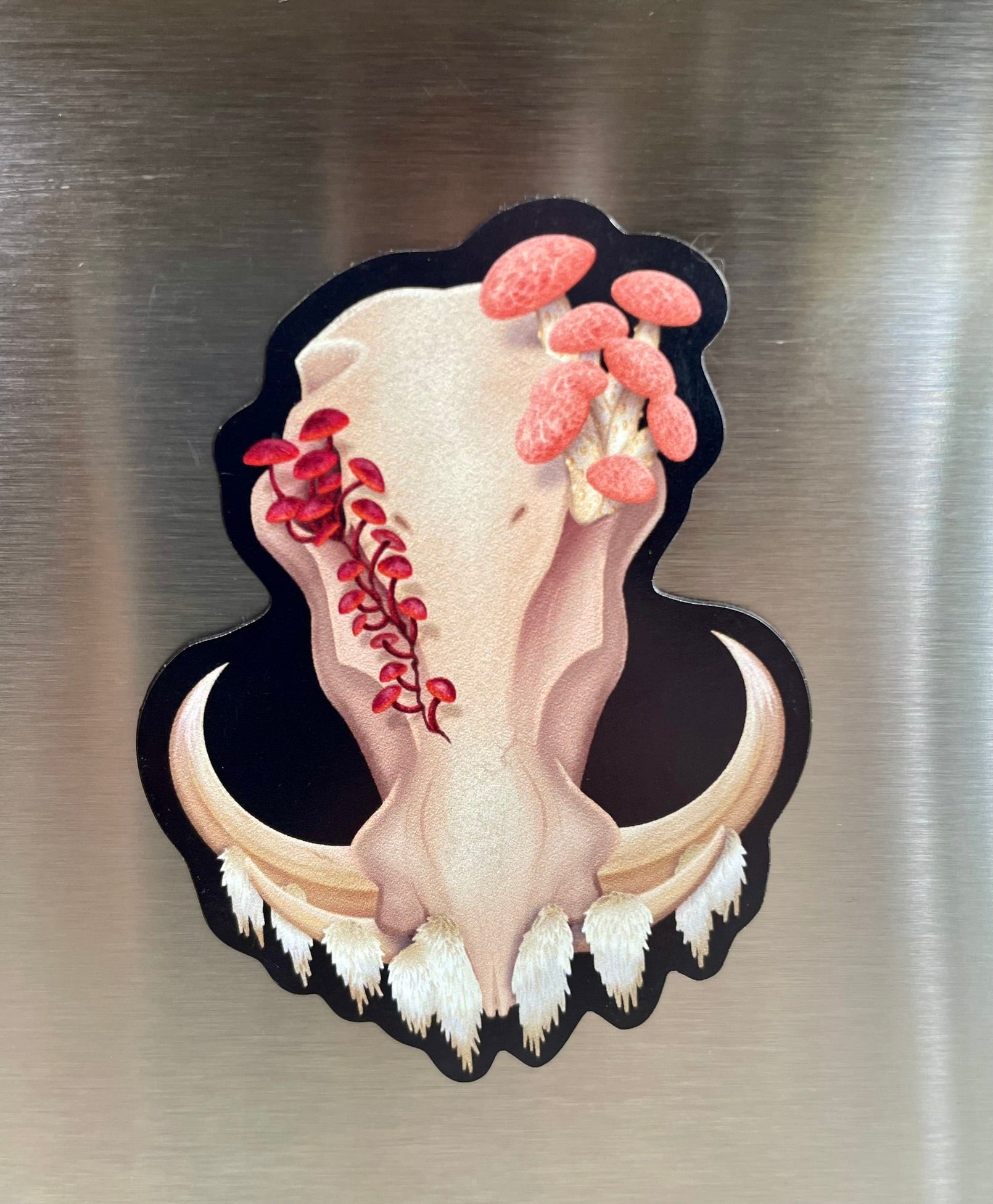 A 3 inch tall magnet for the refrigerator featuring a front facing warthog skull with 3 different kinds of fungi growing out of it