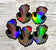 Fungal Warthog Skull - Holographic Sticker