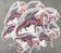 Rhodochrosite Mineral Dragon - Matte Sticker