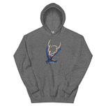 Pietersite Mineral Dragon - Unisex Hoodie